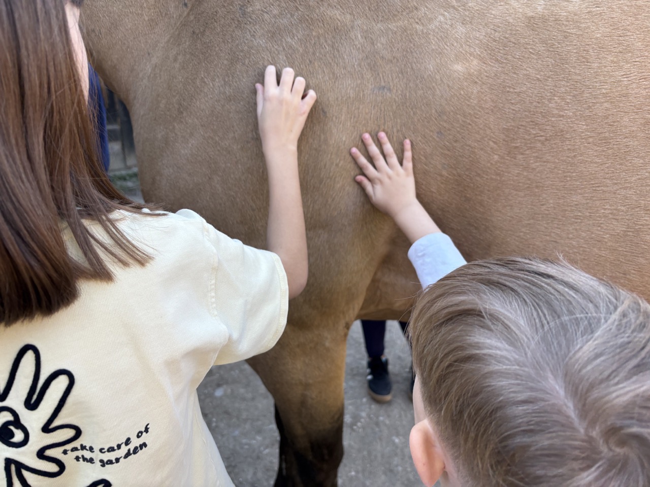 Subota za pamćenje na Ranchu Don Kihot! 🐴☀️
